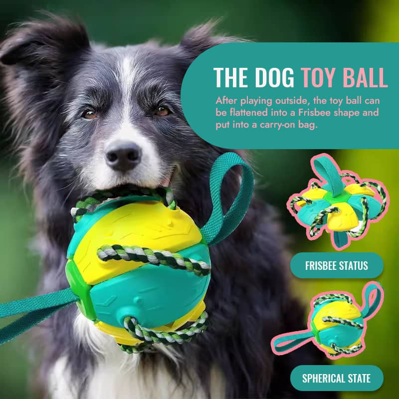 🔥Mother's Day Sale-46% OFF up🐾Interactive Flying Disk Ball Dog Toy
