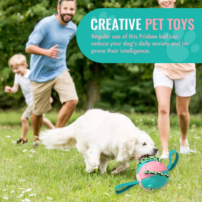 🔥Mother's Day Sale-46% OFF up🐾Interactive Flying Disk Ball Dog Toy