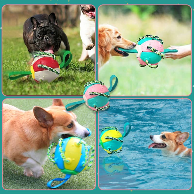 🔥Mother's Day Sale-46% OFF up🐾Interactive Flying Disk Ball Dog Toy