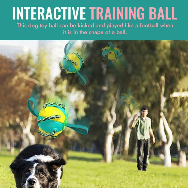 🔥Mother's Day Sale-46% OFF up🐾Interactive Flying Disk Ball Dog Toy